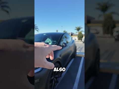 Upgrading My Model Y Performance: The Matte PPF Wrap That Transforms the Look featured image