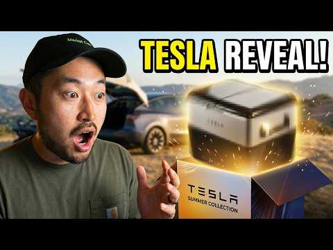 Cover image for Tesla Model Y Fridge Review: Summer Accessories