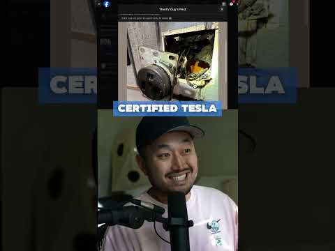 Cover image for EV Charger Burnt Wall Socket: Why Hardwire Instead