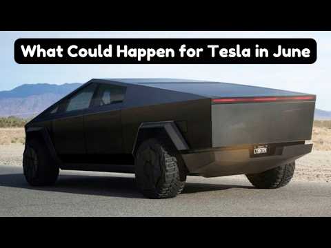 Tesla Updates and Must-Have Accessories for June