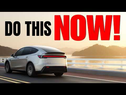 Model Y L Financing Rates: Credit Union Savings Guide featured image