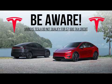 Tesla Buyer Beware: Tax Credit Issues and Must-Have Accessories featured image