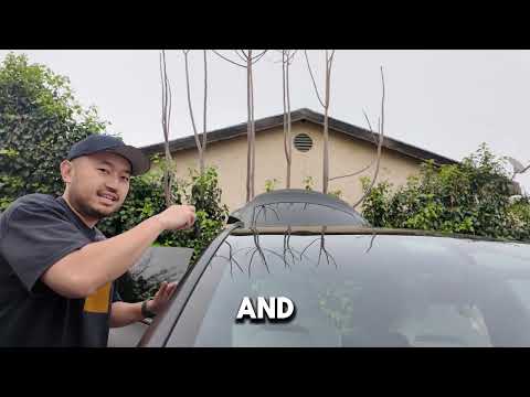 Easy DIY Roof Rack Install on My Newly Matte-Wrapped Tesla Model Y featured image
