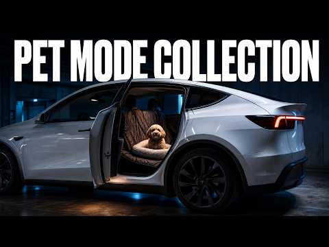 Cover image for Tesla Pet Mode Collection Drops New Dog Toys